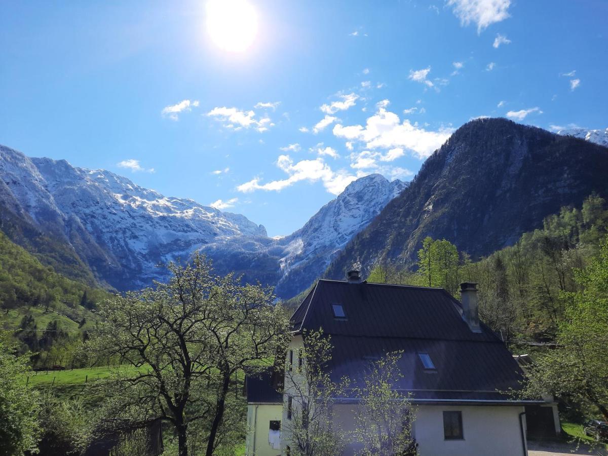 Apartment Pretner, Lepena Soča Екстериор снимка