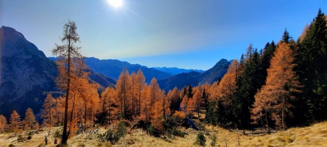 Apartment Pretner, Lepena Soča Екстериор снимка